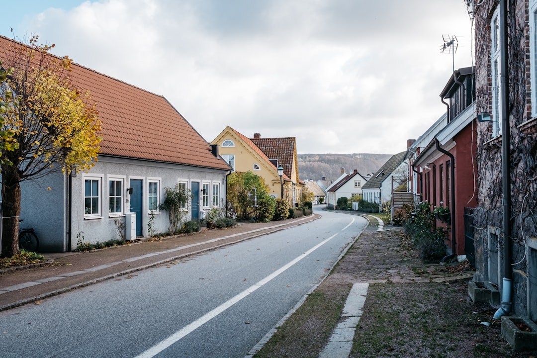 Hotade arter i Sverige – så här räddar vi dem illustration